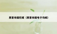 黑客帝国陀螺（黑客帝国电子乌贼）