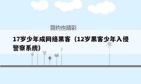 17岁少年成网络黑客（12岁黑客少年入侵警察系统）