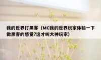 我的世界打黑客（MC我的世界玩家体验一下做黑客的感觉?这才叫大神玩家）