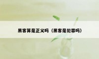 黑客算是正义吗（黑客是犯罪吗）