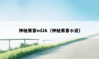 神秘黑客ed2k（神秘黑客小说）