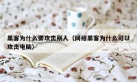 黑客为什么要攻击别人（网络黑客为什么可以攻击电脑）