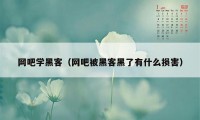 网吧学黑客（网吧被黑客黑了有什么损害）