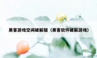 黑客游戏空间破解版（黑客软件破解游戏）