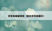 将军箭破解桃枝（桃木将军箭图片）