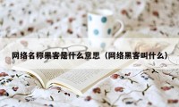 网络名称黑客是什么意思（网络黑客叫什么）