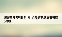 黑客的分类叫什么（什么是黑客,黑客有哪些分类）