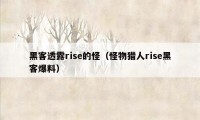 黑客透露rise的怪（怪物猎人rise黑客爆料）