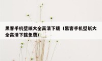 黑客手机壁纸大全高清下载（黑客手机壁纸大全高清下载免费）