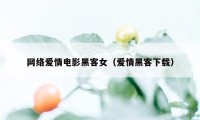 网络爱情电影黑客女（爱情黑客下载）