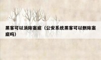 黑客可以消除案底（公安系统黑客可以删除案底吗）