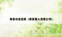 黑客攻击菠菜（黑客黑入菠菜公司）