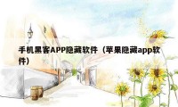 手机黑客APP隐藏软件（苹果隐藏app软件）