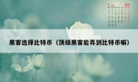 黑客选择比特币（顶级黑客能弄到比特币嘛）