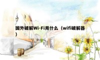 国外破解Wi-Fi用什么（wifi破解器）