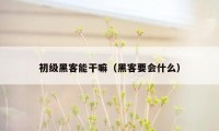 初级黑客能干嘛（黑客要会什么）