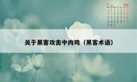 关于黑客攻击中肉鸡（黑客术语）