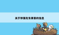 关于郭强先生黑客的信息