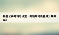 销售公共邮箱号设置（邮箱如何设置成公共邮箱）