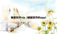 破解软件vip（破解软件的app）