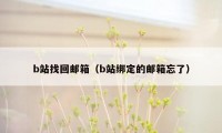 b站找回邮箱（b站绑定的邮箱忘了）