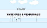 黑客侵入武器后果严重吗的简单介绍