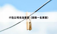 IT在公司充当黑客（想做一名黑客）