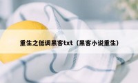 重生之低调黑客txt（黑客小说重生）