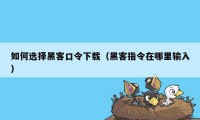 如何选择黑客口令下载（黑客指令在哪里输入）