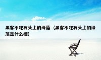 黑客不吃石头上的绿藻（黑客不吃石头上的绿藻是什么梗）