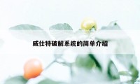 威仕特破解系统的简单介绍