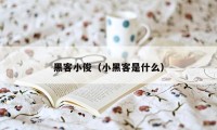 黑客小俊（小黑客是什么）