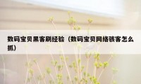 数码宝贝黑客刷经验（数码宝贝网络骇客怎么抓）