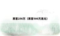 黑客256万（黑客500万美元）