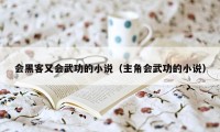 会黑客又会武功的小说（主角会武功的小说）