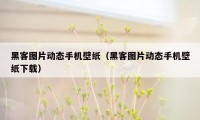 黑客图片动态手机壁纸（黑客图片动态手机壁纸下载）