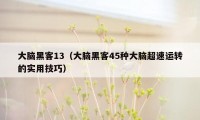 大脑黑客13（大脑黑客45种大脑超速运转的实用技巧）