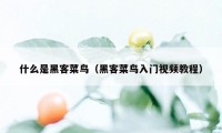 什么是黑客菜鸟（黑客菜鸟入门视频教程）