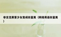 非主流黑客少女变成白富美（网络用语白富美）