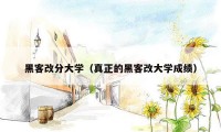 黑客改分大学（真正的黑客改大学成绩）