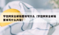 学信网安全邮箱里填写什么（学信网安全邮箱里填写什么内容）