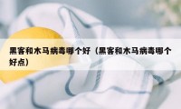 黑客和木马病毒哪个好（黑客和木马病毒哪个好点）