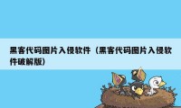 黑客代码图片入侵软件（黑客代码图片入侵软件破解版）