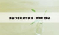 黑客技术到底有多强（黑客厉害吗）