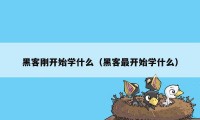 黑客刚开始学什么（黑客最开始学什么）