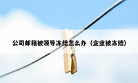 公司邮箱被领导冻结怎么办（企业被冻结）