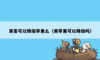 黑客可以降级苹果么（黑苹果可以降级吗）