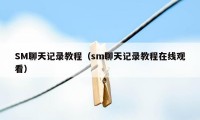 SM聊天记录教程（sm聊天记录教程在线观看）