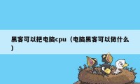 黑客可以把电脑cpu（电脑黑客可以做什么）