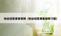 粉丝招惹黑客视频（粉丝招惹黑客视频下载）